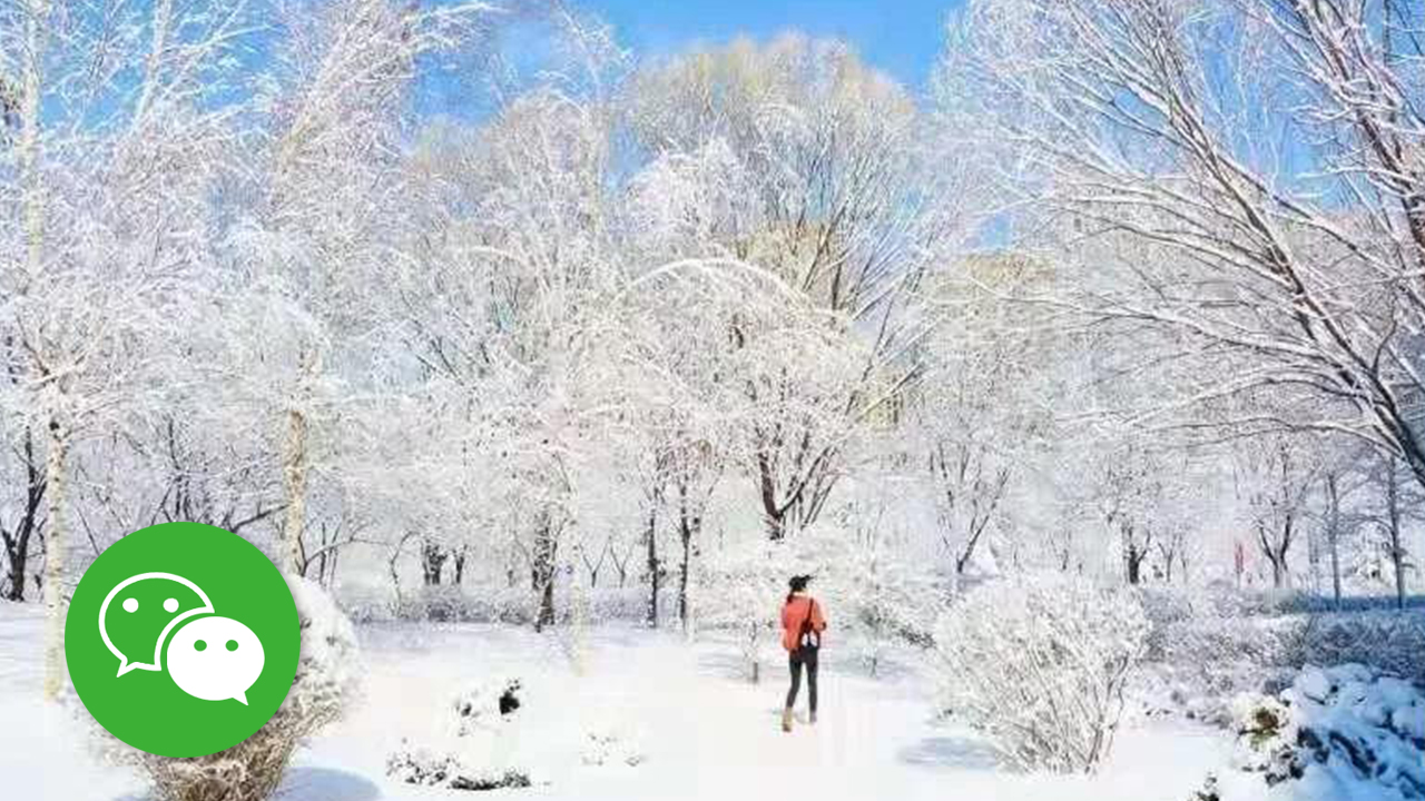 沈体印象 | 去滑雪，约吗？