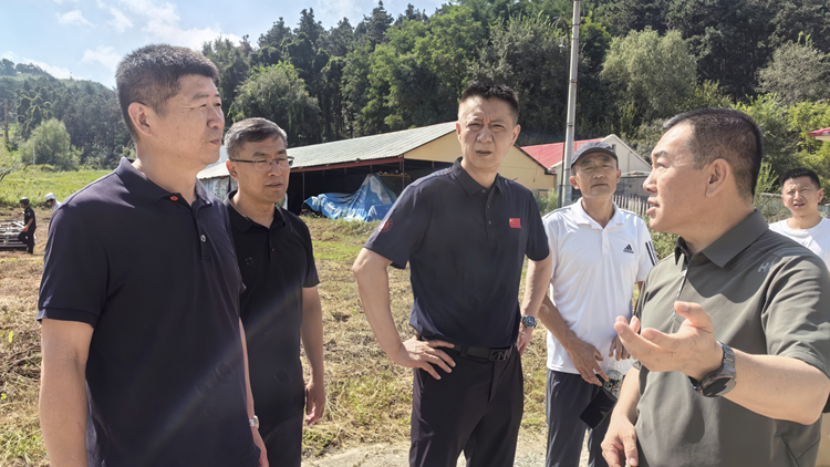 “十五冬”场馆建设——沈体再推进‌