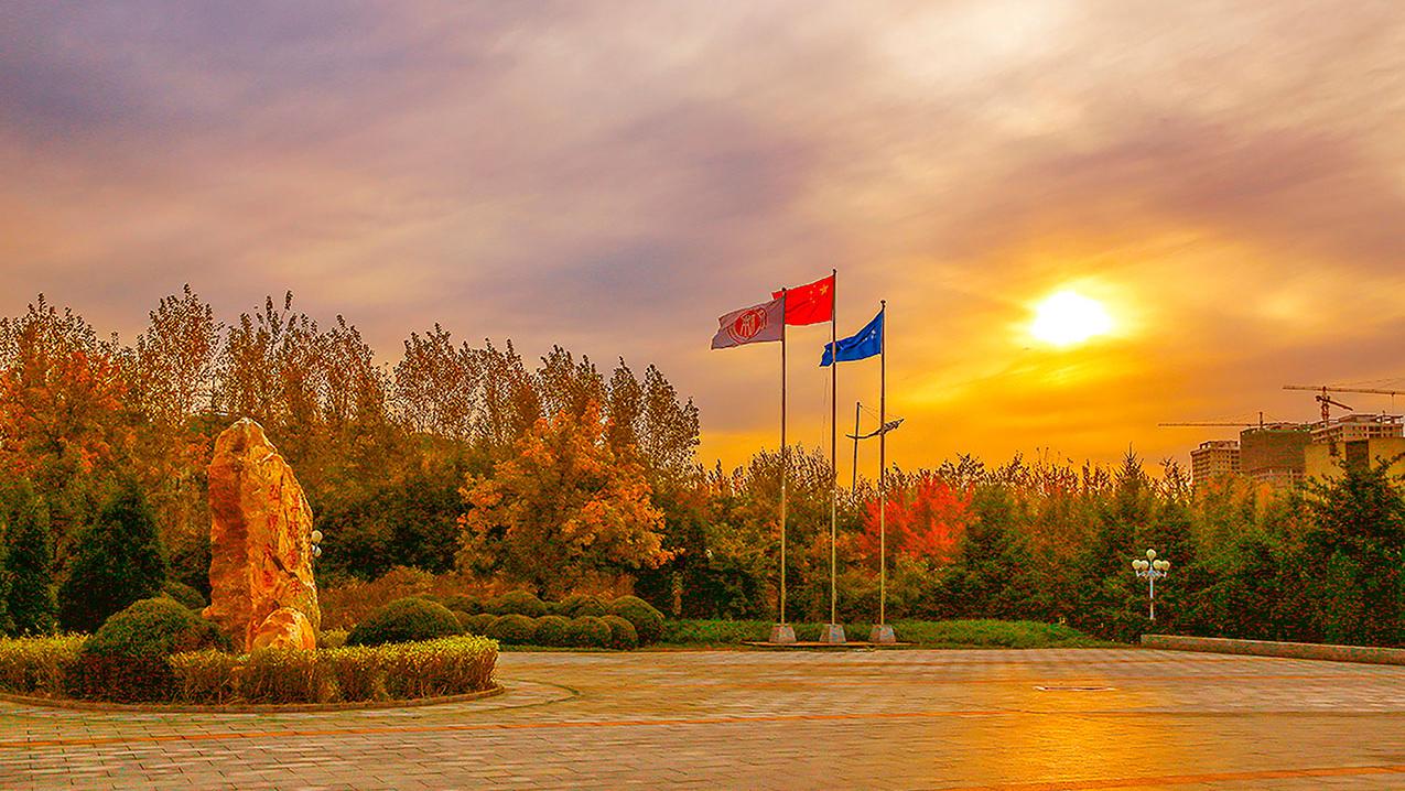 你被藏在我的记忆里