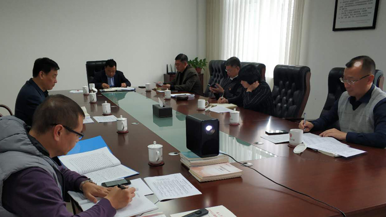 党委理论学习中心组集体学习党的十九届四中全会精神