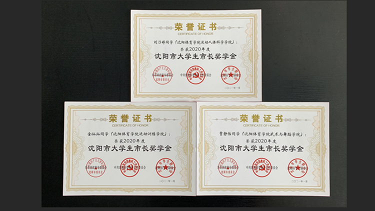 我校学生获团沈阳市委2020年多项表彰
