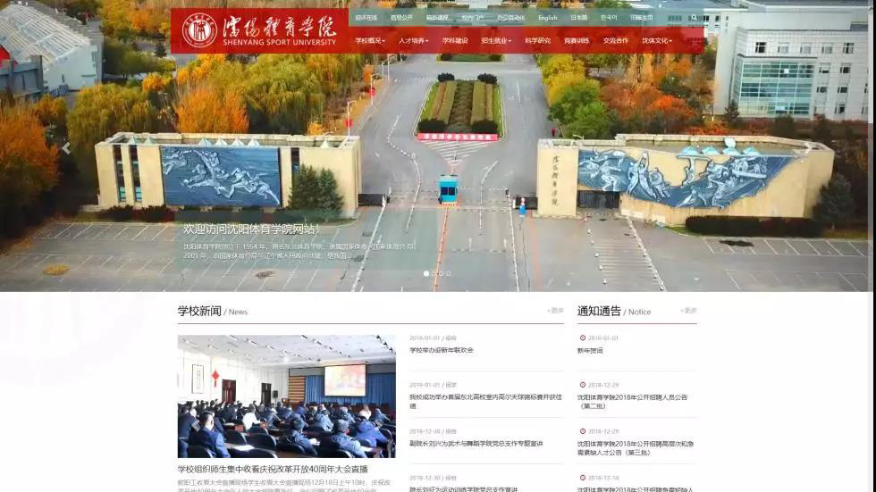 沈体印象 | 官网的前世今生