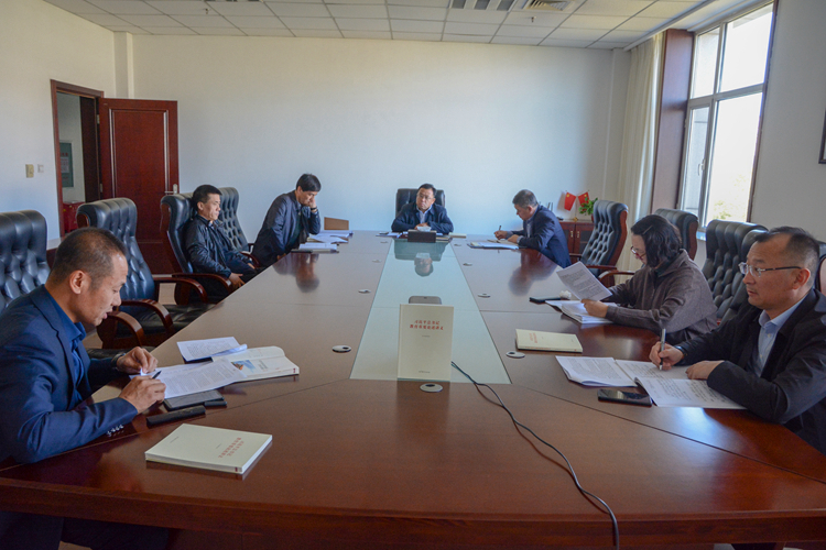 党委理论学习中心组进行集体学习