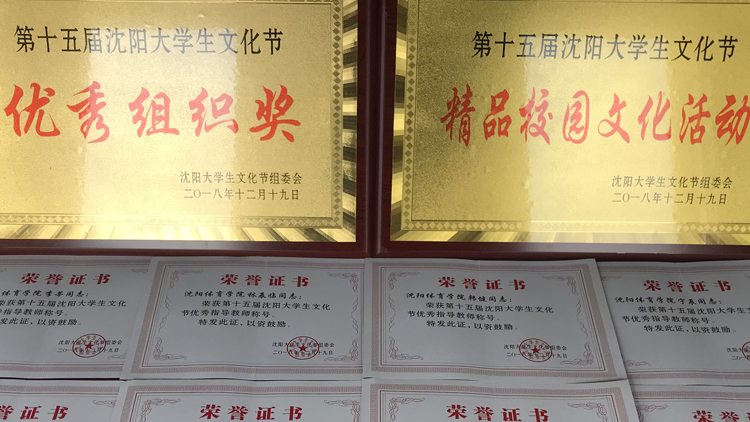 我校师生在第十五届沈阳大学生文化节比赛中获奖