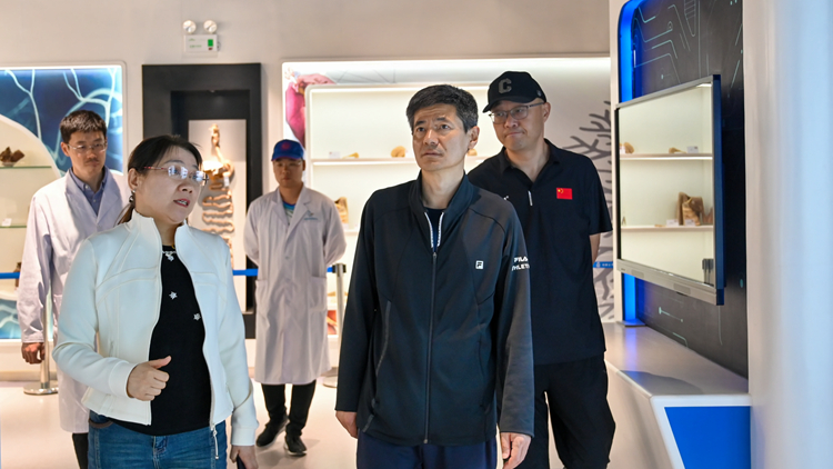 学校开展校园安全专项检查工作